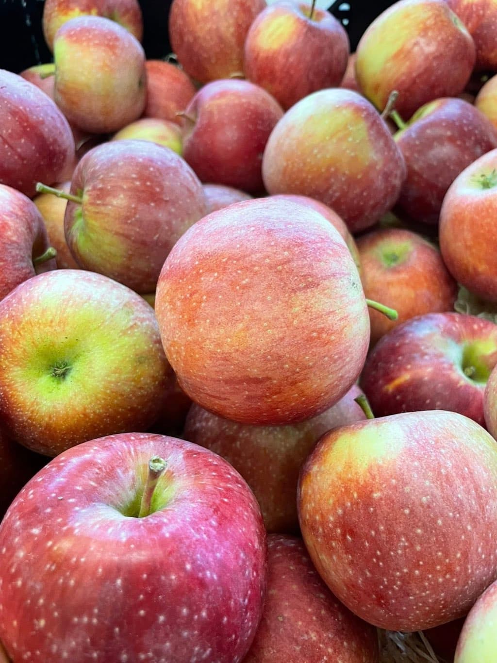 Äpfel
